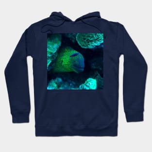 Moray eel Hoodie